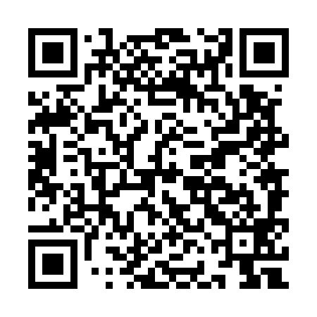 QR code for IFN599