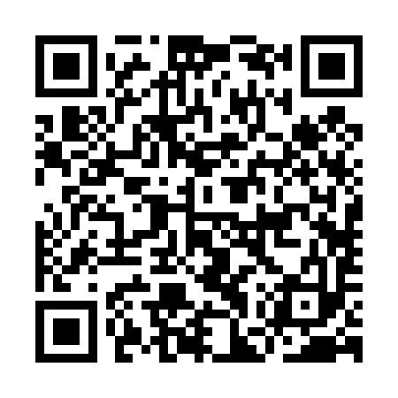 QR code for IGR493
