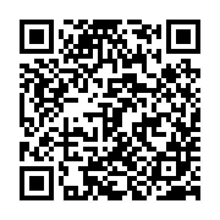 QR code for IIC282