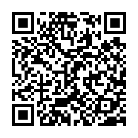 QR code for IID609