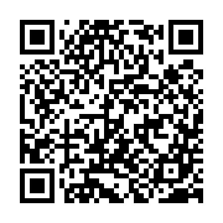 QR code for IIF547