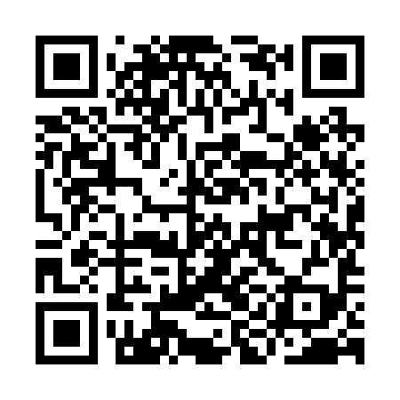 QR code for III299