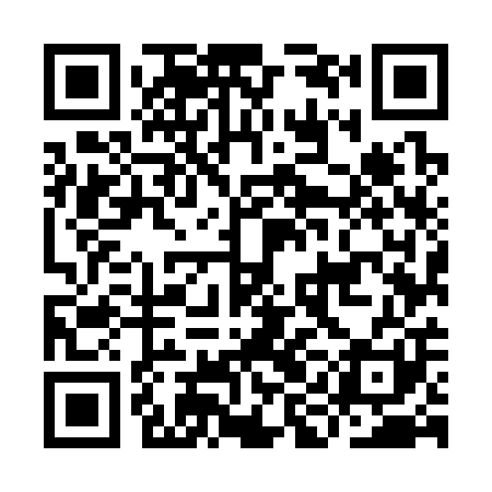 QR code for IIM301