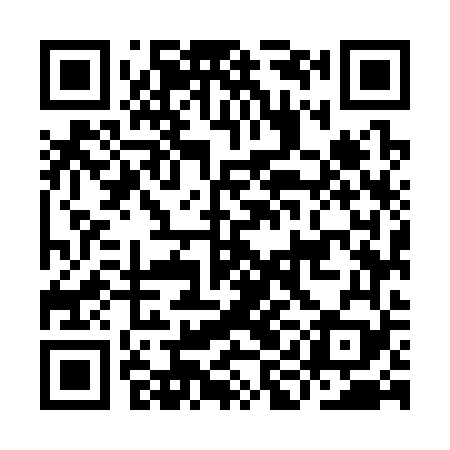 QR code for IIM369