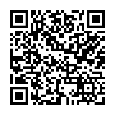 QR code for IIN267
