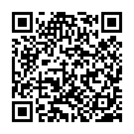 QR code for IIN491