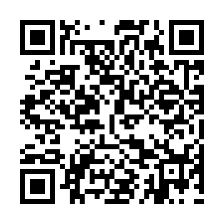 QR code for IIN938