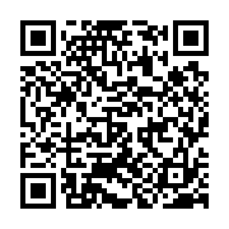 QR code for IIO733
