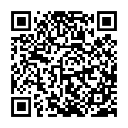 QR code for IIP407