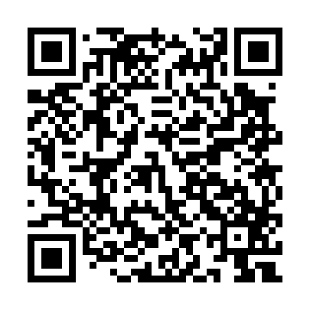 QR code for IIS087