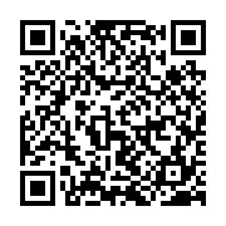 QR code for IIS234