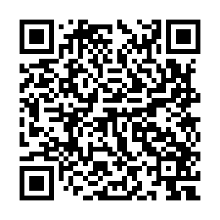 QR code for IIS946