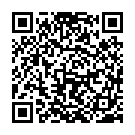 QR code for IIX273