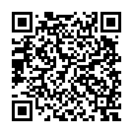 QR code for IJB481