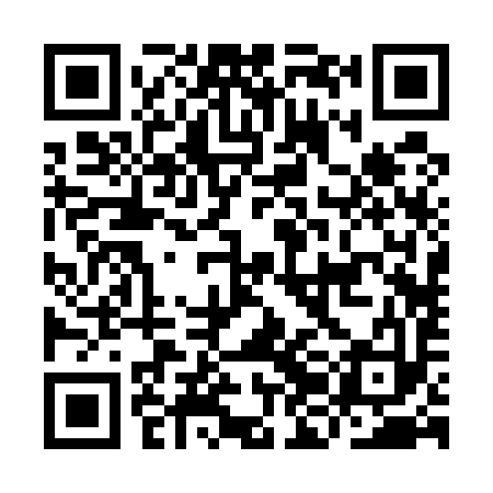 QR code for IJB593
