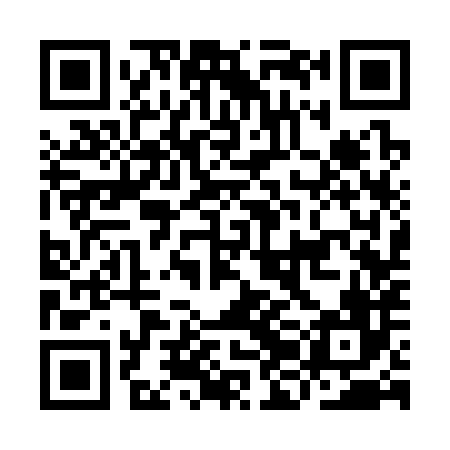 QR code for IJC386