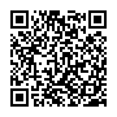 QR code for IJE541