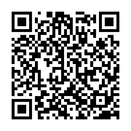 QR code for IJF311