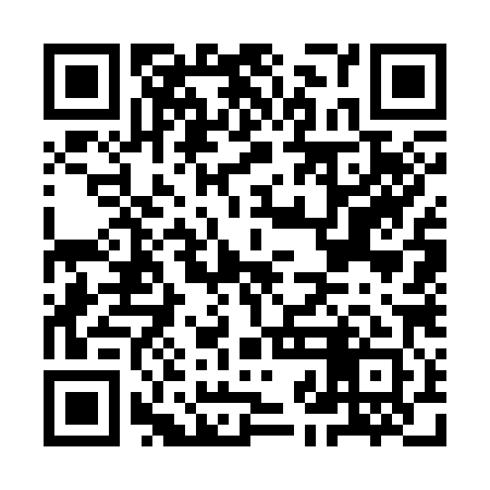 QR code for IJG381