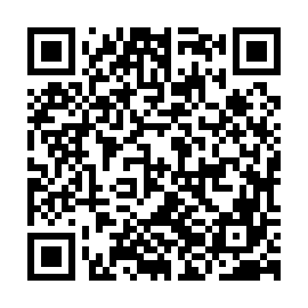 QR code for IJJ166