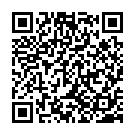 QR code for IJO310