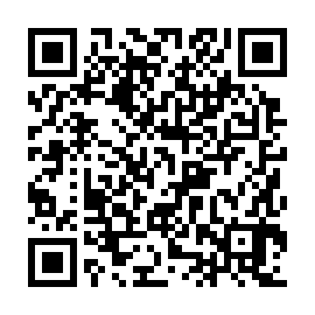 QR code for IJP382