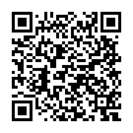 QR code for IJS511