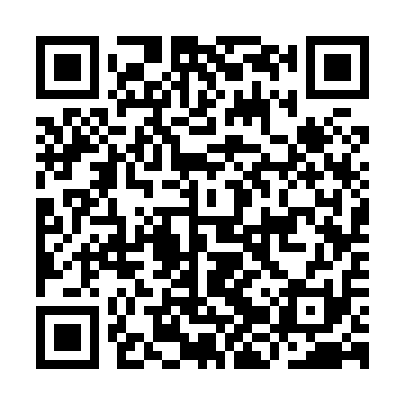 QR code for IJS811
