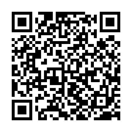 QR code for IJT513