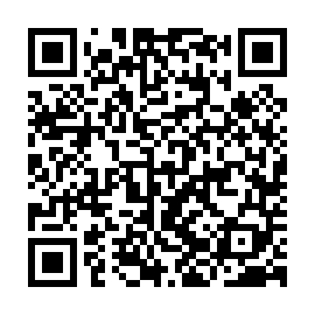 QR code for IJV049