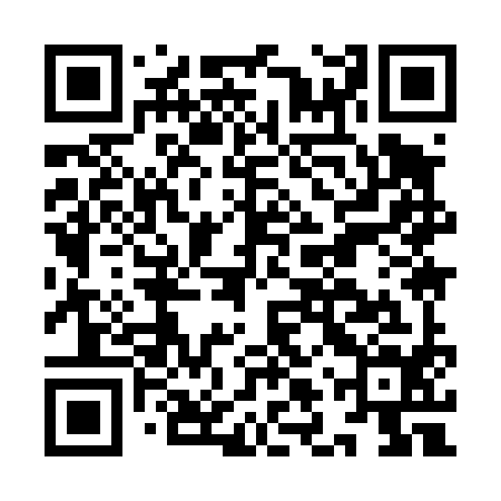 QR code for ILY494