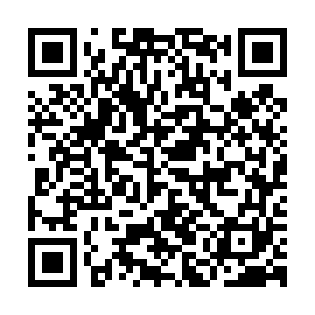 QR code for IMG461