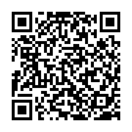 QR code for INI318