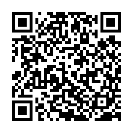 QR code for INI641