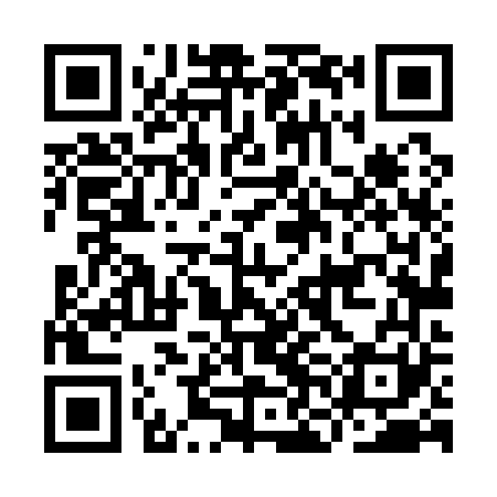 QR code for INL161
