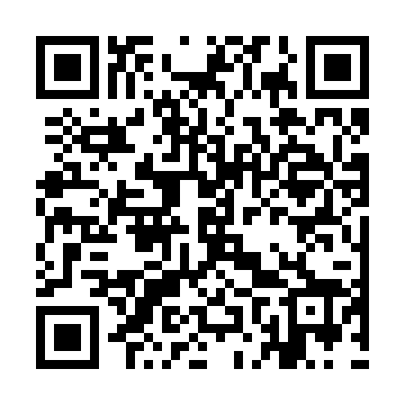 QR code for INS228