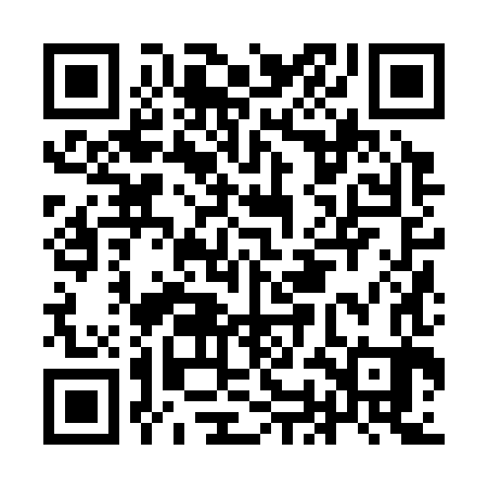 QR code for IOJ383