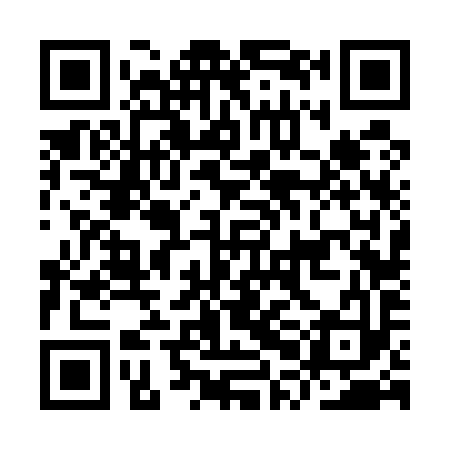 QR code for IPF593
