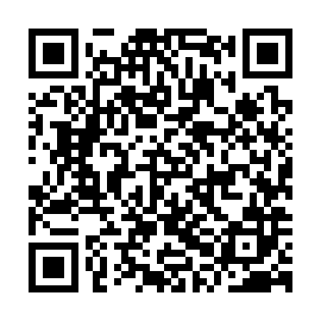 QR code for IPM382