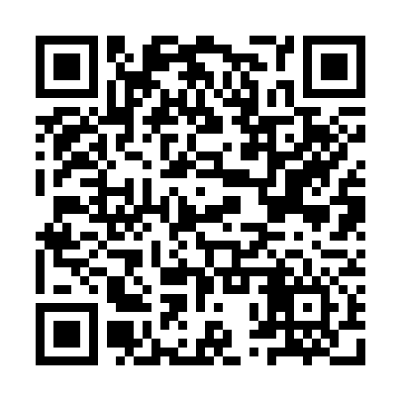 QR code for IPR376