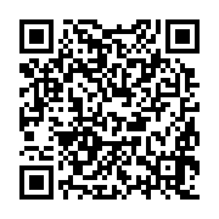 QR code for ISS397