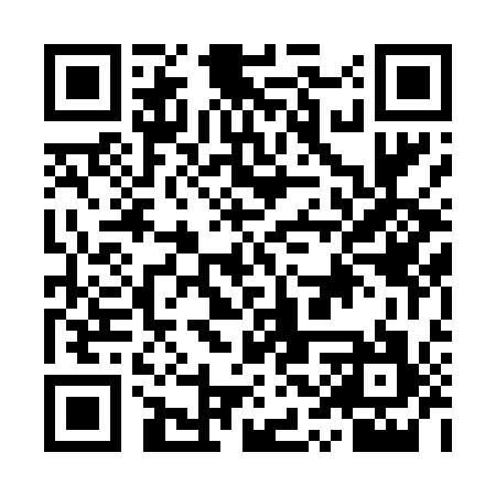 QR code for IST417