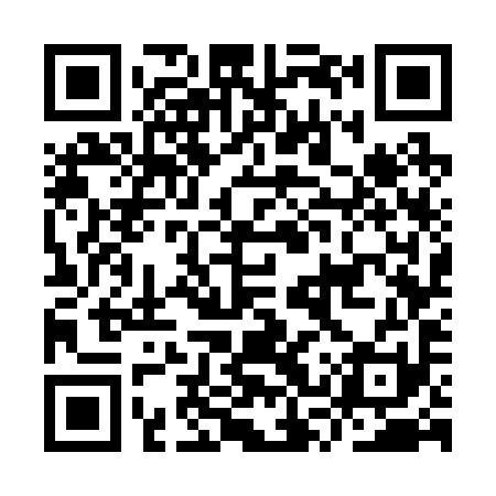 QR code for ISW291