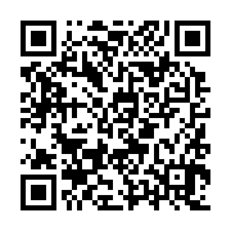 QR code for IUD384