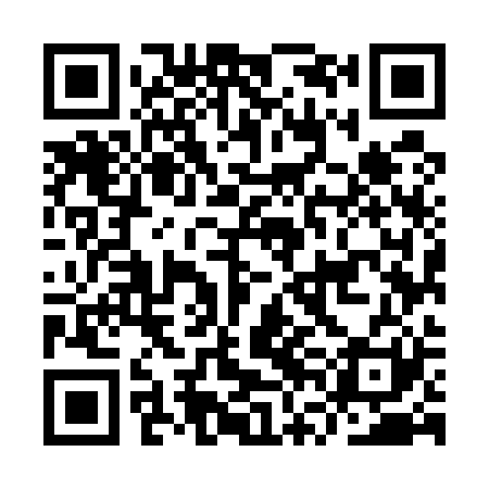 QR code for IVM521
