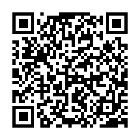 QR code for IWT313