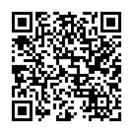 QR code for IXL384