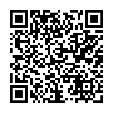 QR code for IZR638