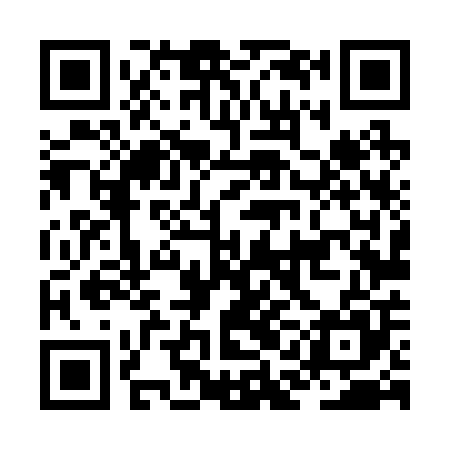 QR code for JAL205