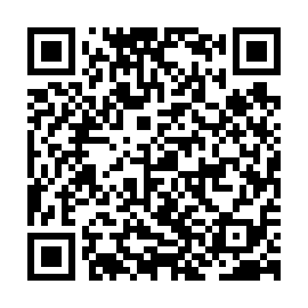 QR code for JNE619